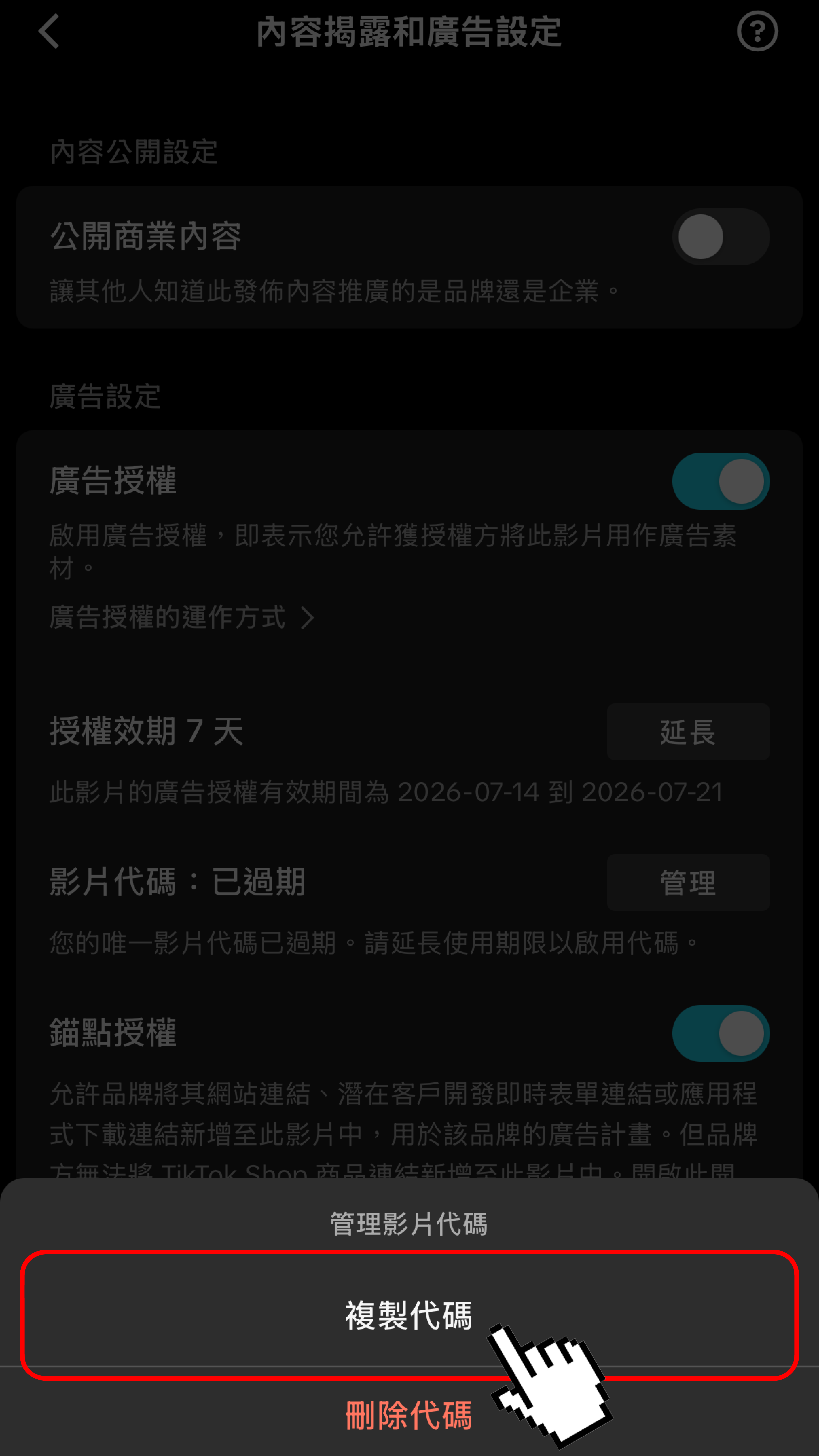 步驟 4：複製授權碼